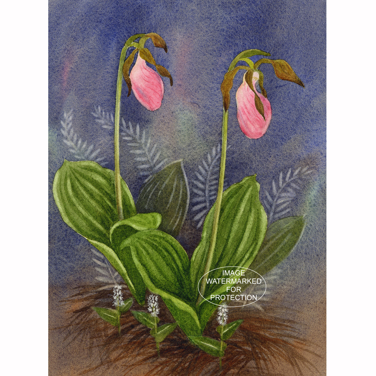 Limited Edition Print of "Two Ladies" by Doris Wilbur-Artist, Pink Ladyslipper Orchids, Botanical, Country Decor, Gift, Original Art, Nature