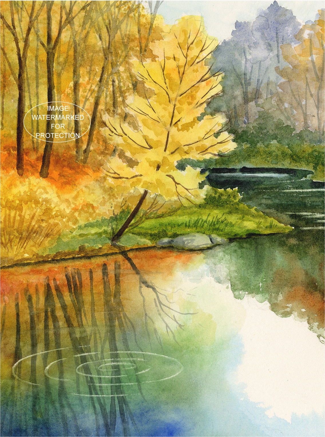 Landscape Art "Beardsley's Creek" by Doris Wilbur Artist, Watercolor Art, Nature, Prints, Wall Art, Creeks, Limited, Streams Edition