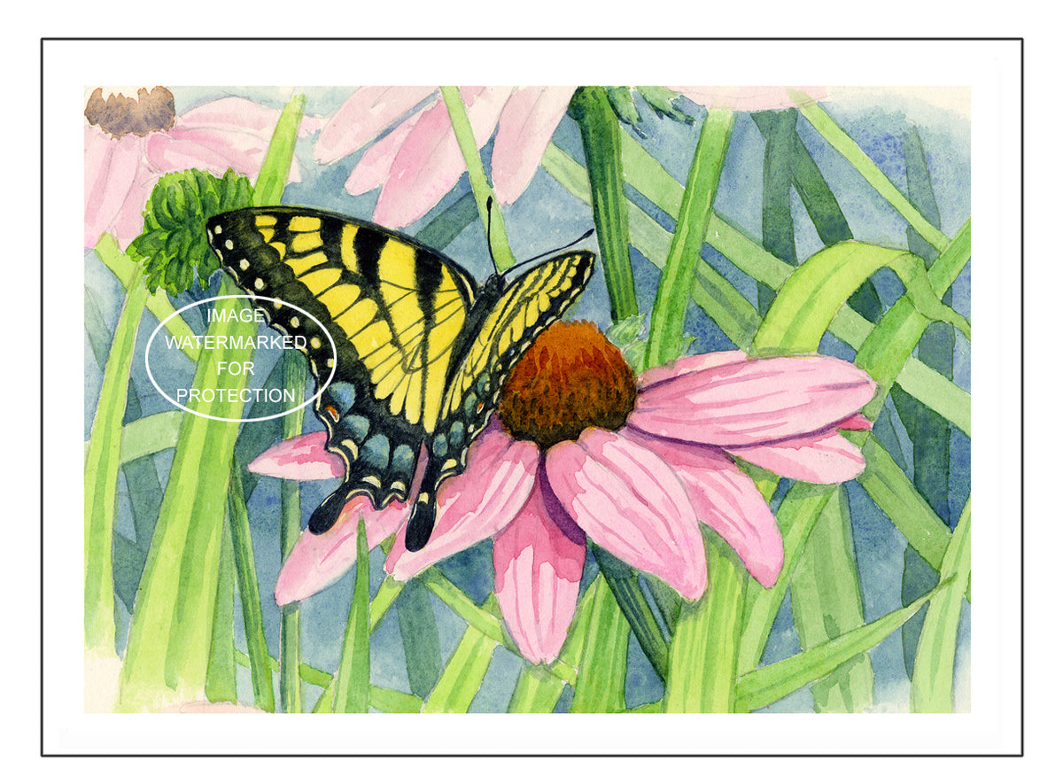 Floral Art "Coneflower Butterfly" by Doris Wilbur Artist, Watercolor Art, Artwork, Nature, Prints, Wall Art, Flowers, Limited Edition