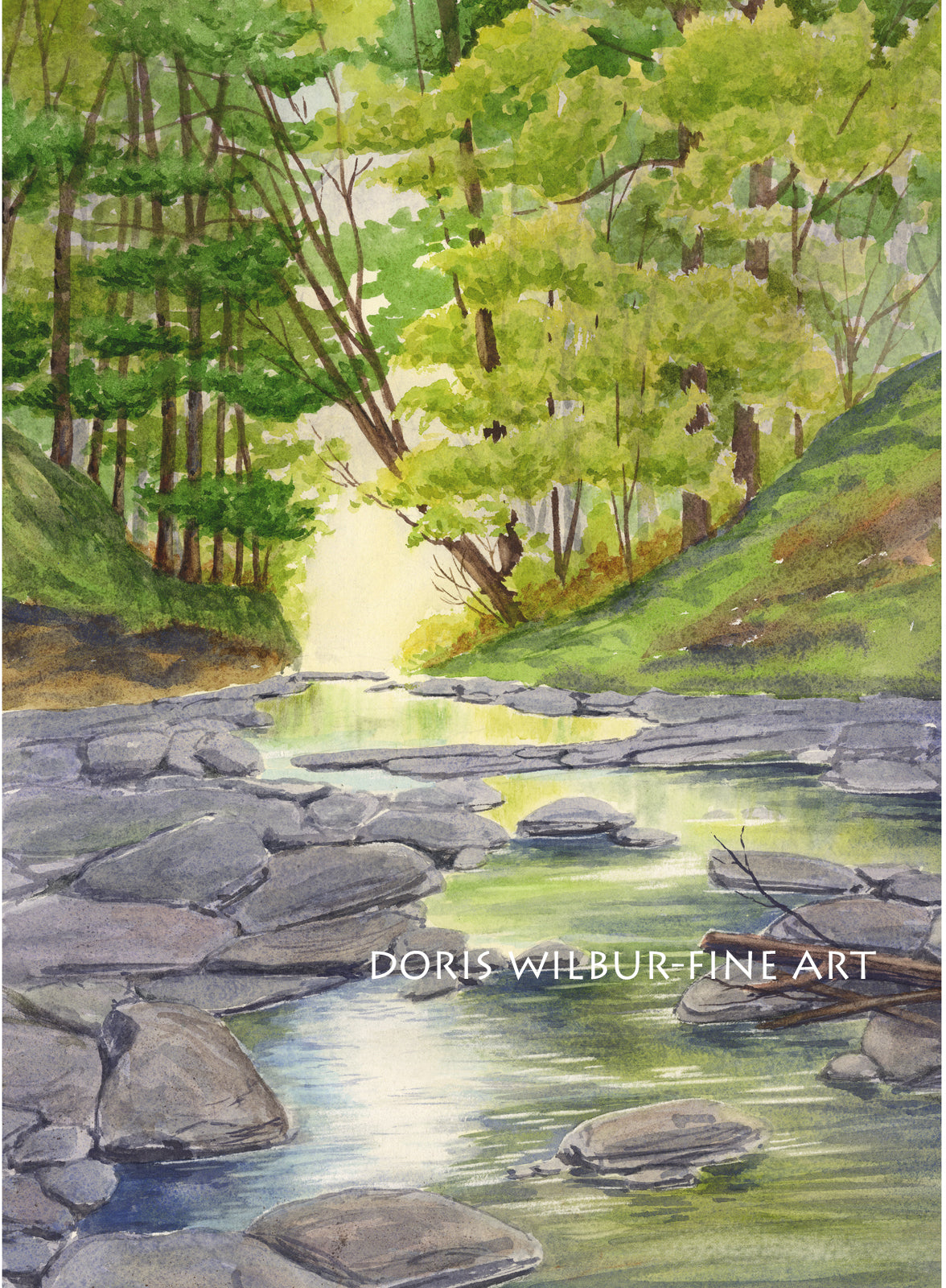 Landscape Art "Rexford Falls Creek" by Doris Wilbur Artist, Watercolor Art, Nature, Prints, Wall Art, Trees, Creeks, Stream, Limited Edition