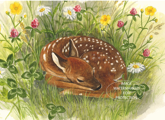 Nature Art "Fawn" by Doris Wilbur Artist, Watercolor Art, Artwork, Nature, Prints, Wall Art, Deer, Limited Edition, woods, Giclee, Animal