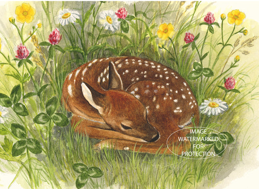 Nature Art "Fawn" by Doris Wilbur Artist, Watercolor Art, Artwork, Nature, Prints, Wall Art, Deer, Limited Edition, woods, Giclee, Animal