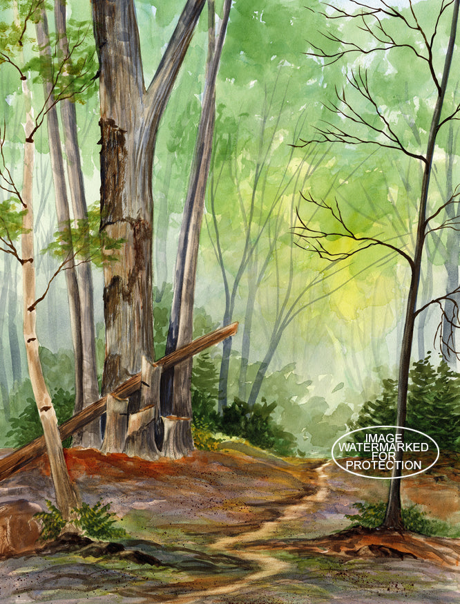 Landscape Art "The Bee Tree" by Doris Wilbur Artist, Watercolor Art, Artwork, Nature, Prints, Wall Art, Trees, Limited Edition, woods, trail