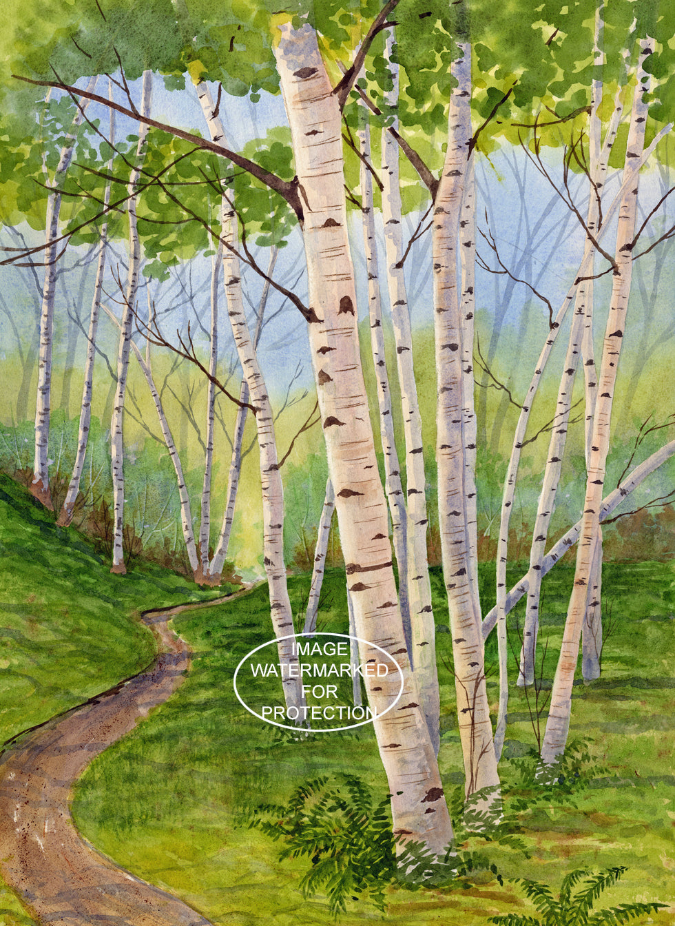 Landscape Art "Birches" by Doris Wilbur Artist, Watercolor Art, Artwork, Nature, Prints, Wall Art, Flowers, Limited Edition