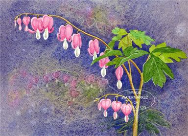 Floral Art "Bleeding Hearts" Limited Edition print of watercolor by Doris Wilbur, Nature Wall Art, Gift, Botanical Art, Garden Country Decor