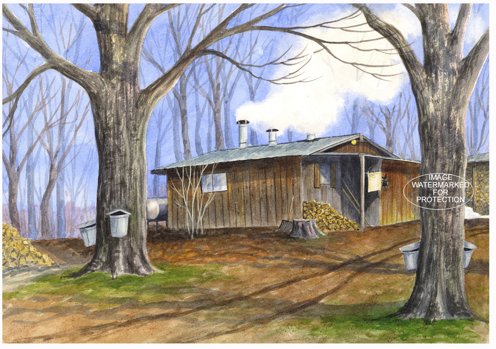 Sugar Shack Art by Doris Wilbur, "Button's Sugar Shack", Country, Rural, Landscape, Sugar Shack, Farmhouse Decor, Maple Sugaring, Rustic