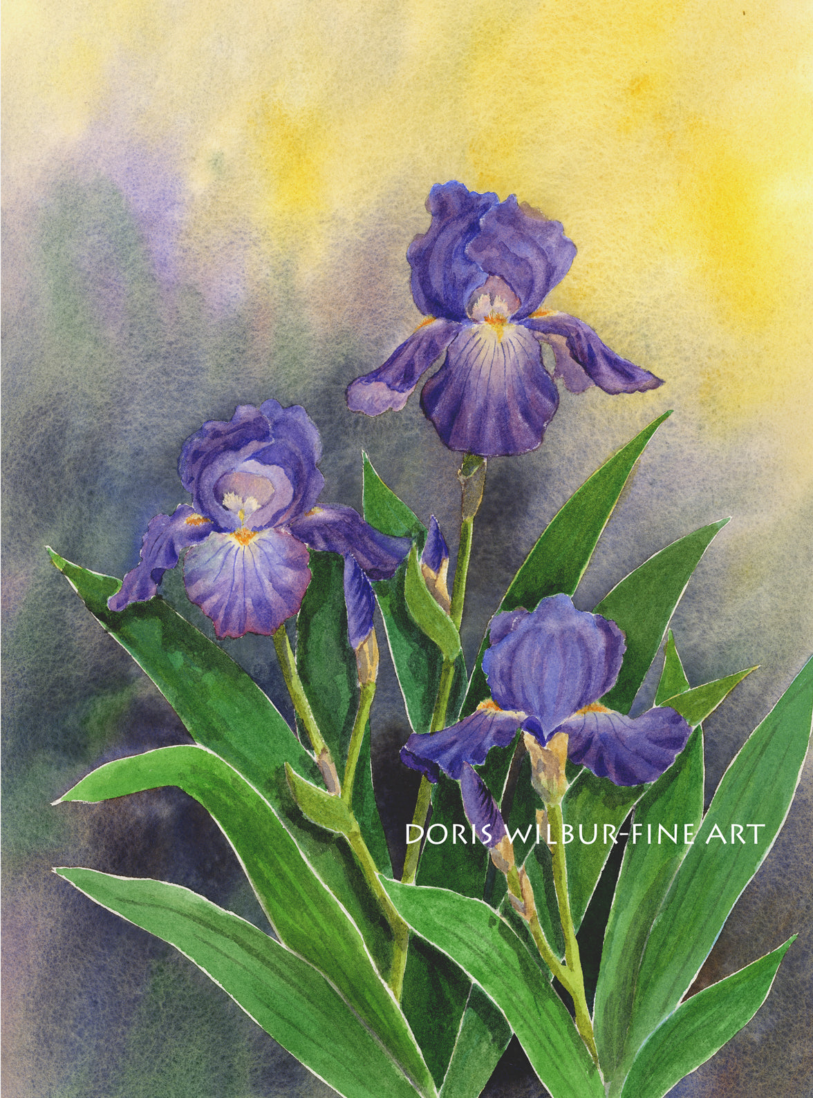 Floral Art "Iris" by Doris Wilbur Artist, Watercolor Art, Artwork, Nature, Prints, Wall Art, Flowers, Limited Edition