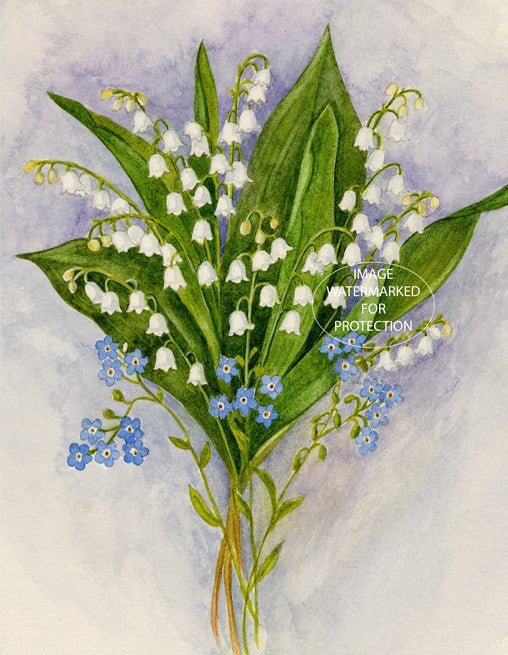 Floral Art "Lily of the Valley" by Doris Wilbur Artist, Watercolor Art, Artwork, Nature, Prints, Wall Art, Flowers, Limited Edition
