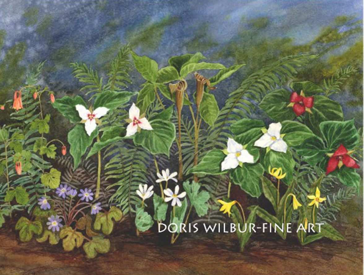 Floral Art "The Wild Group" by Doris Wilbur Artist, Wildflower art, wall art, country decor, farmhouse decor, garden art, giclee, nature art
